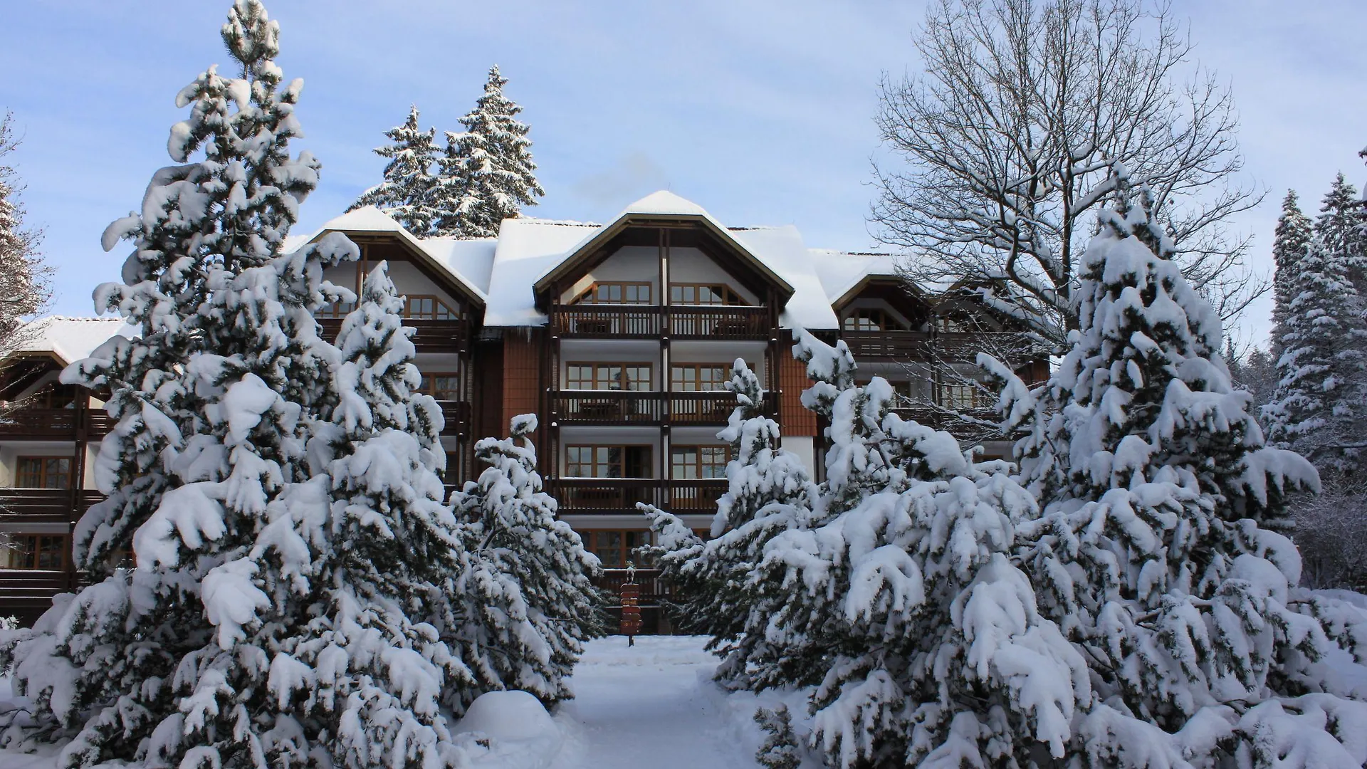 Nahe Stammhaus Schierker Feuerstein: 4 Familienhotels verglichen